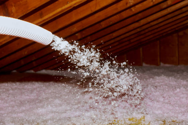 Best Blown-in Insulation in Dillon, MT