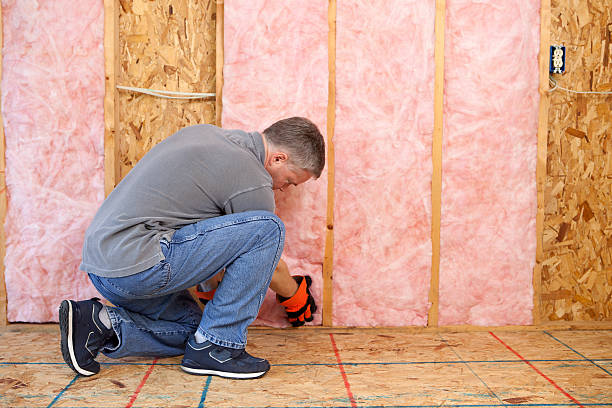 Best Spray Foam Insulation in Dillon, MT