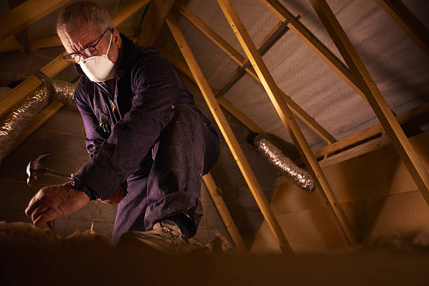 Best Residential Insulation in Dillon, MT